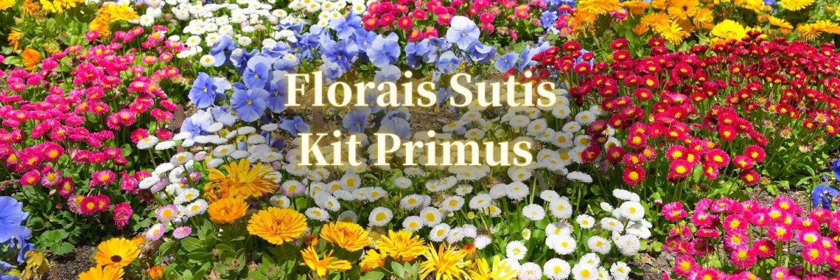 Florais Sutis Kit Primus (1500 × 700 px)